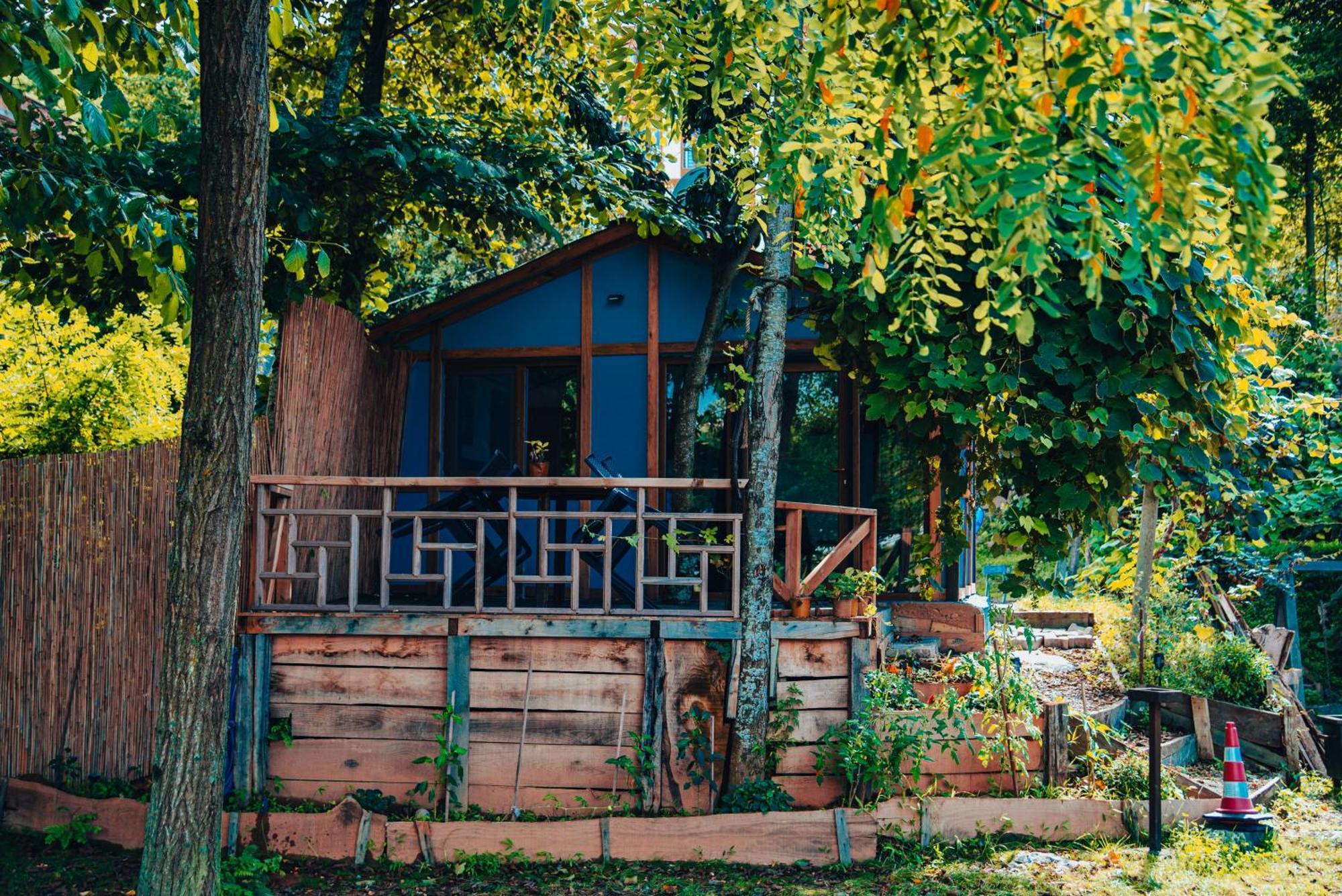 Danzi Camping Tiny House Hotel Rize Kültér fotó